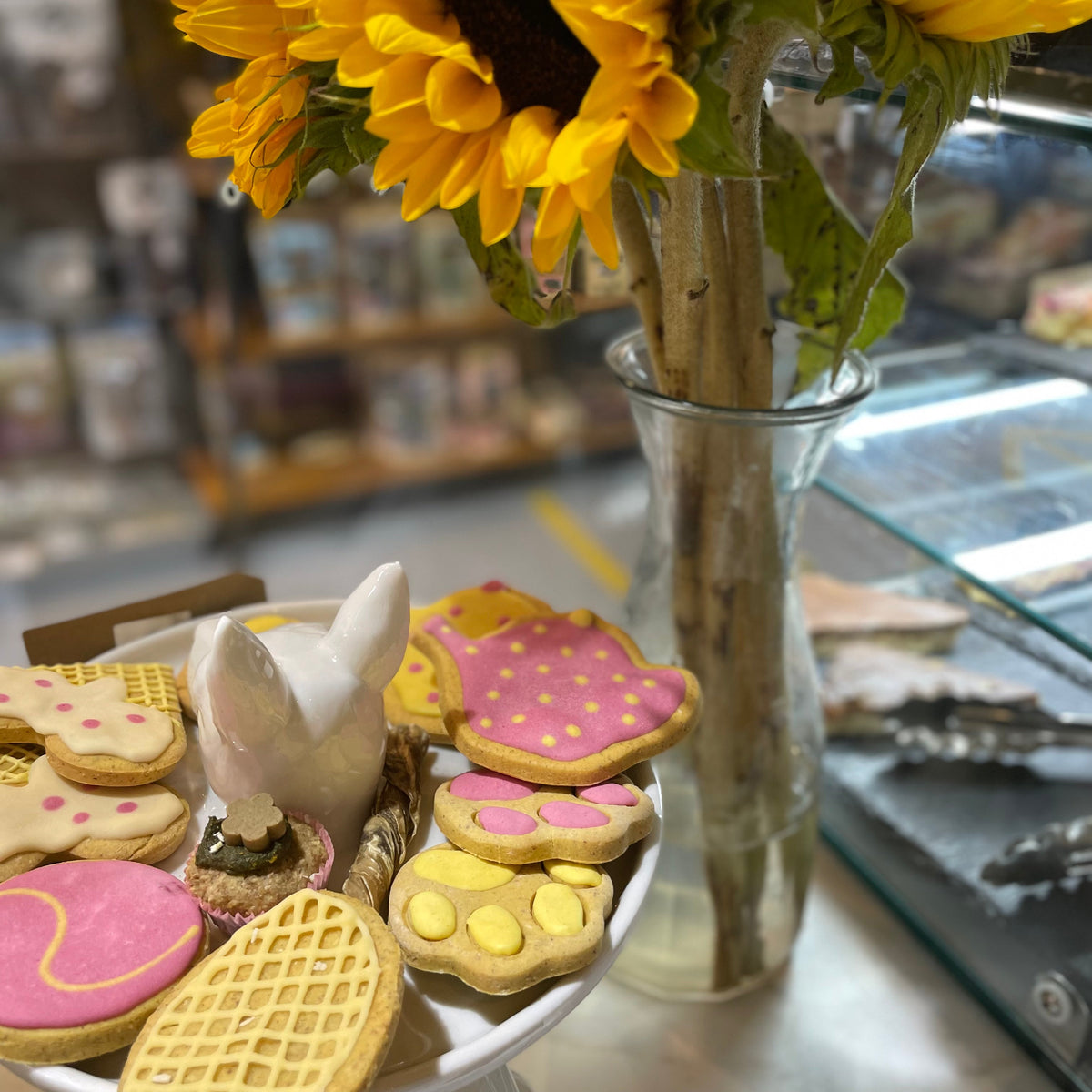 Paw Print Biscuits for Dogs