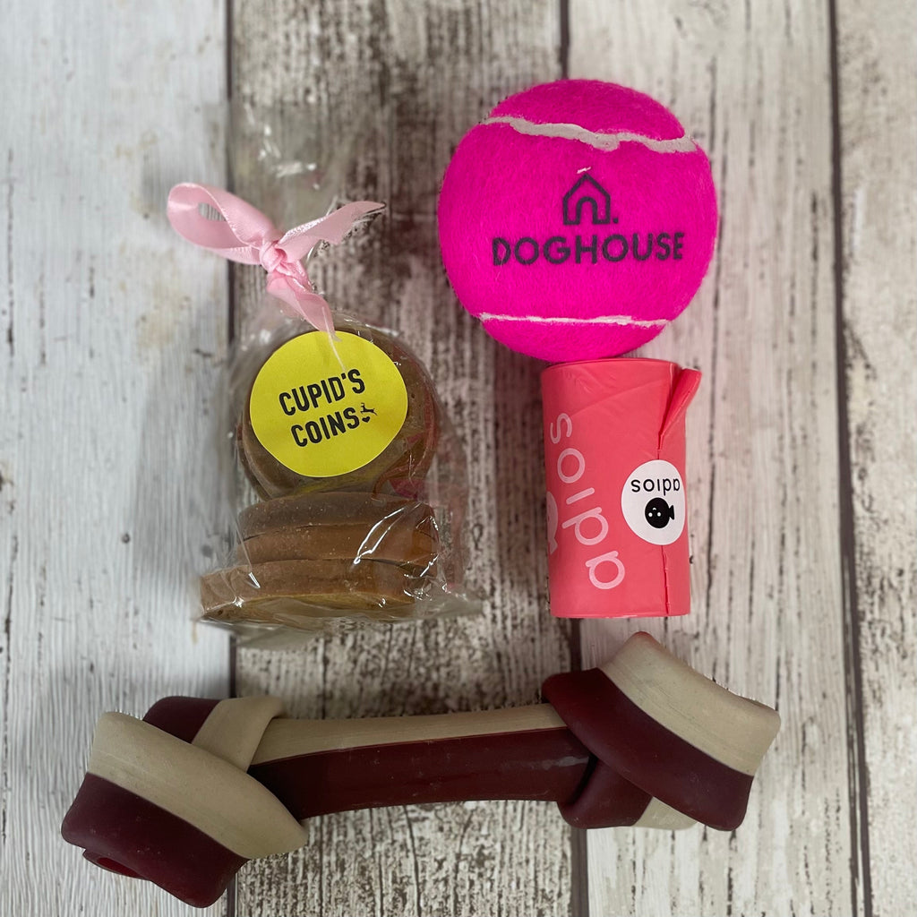 Wedding Gift Box for Dogs