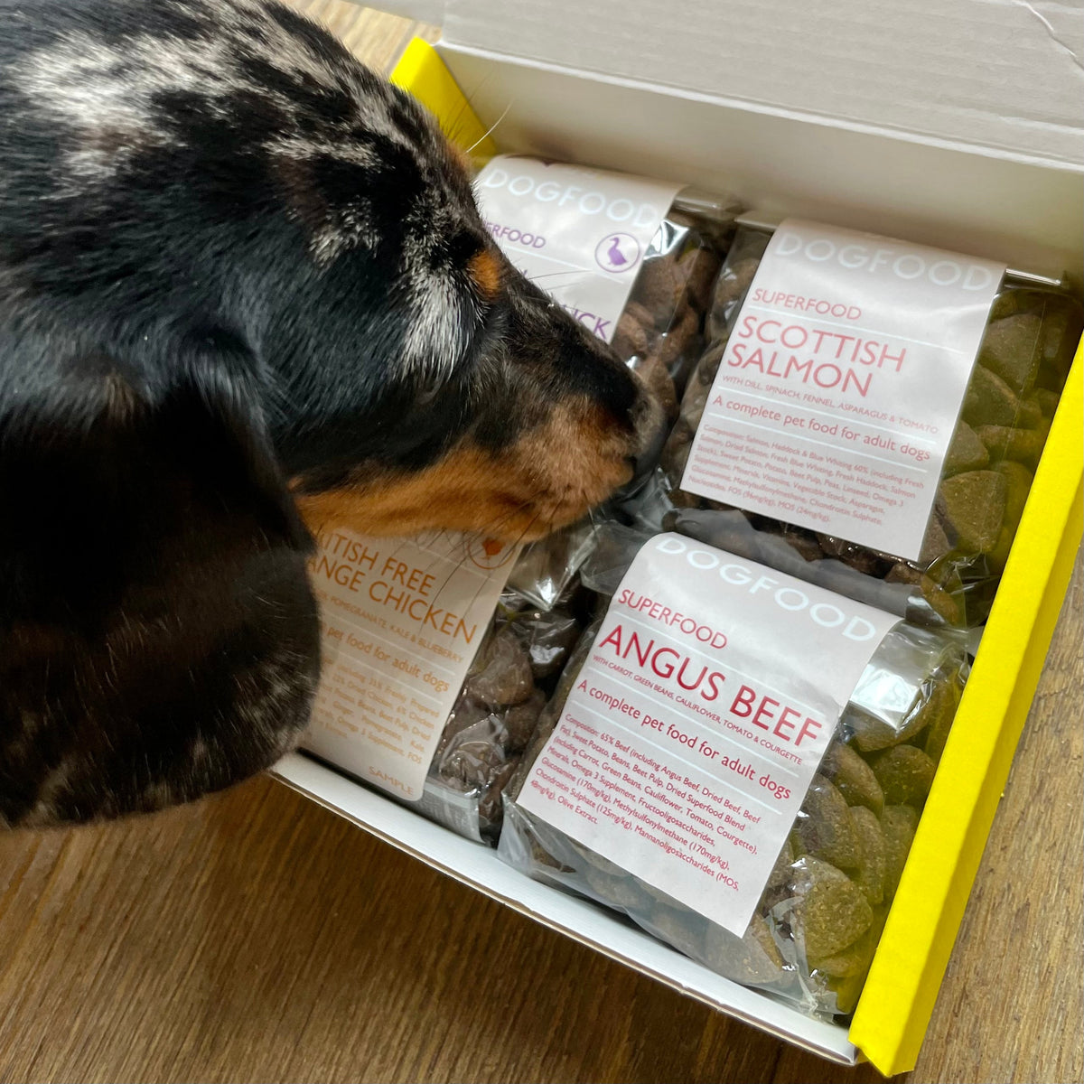 DOGFOOD Superfood Sample Pack