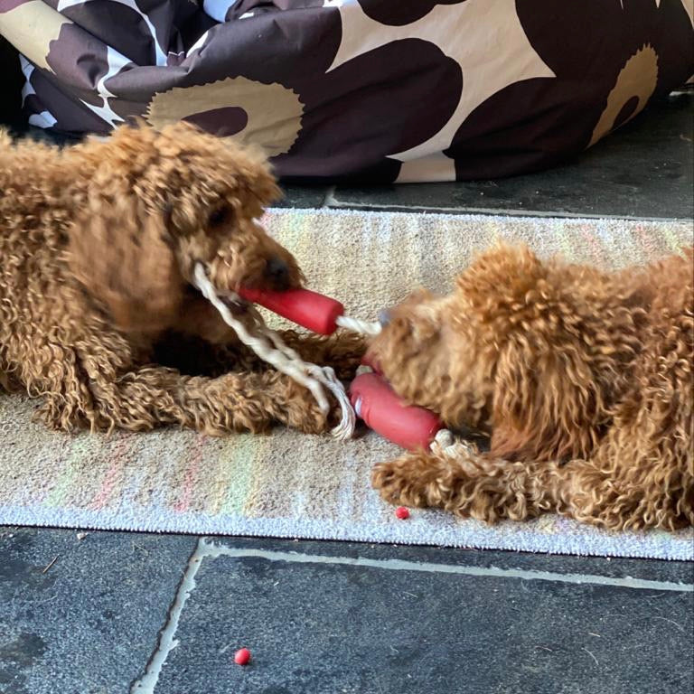 String of Sausages on Rope Dog Toy