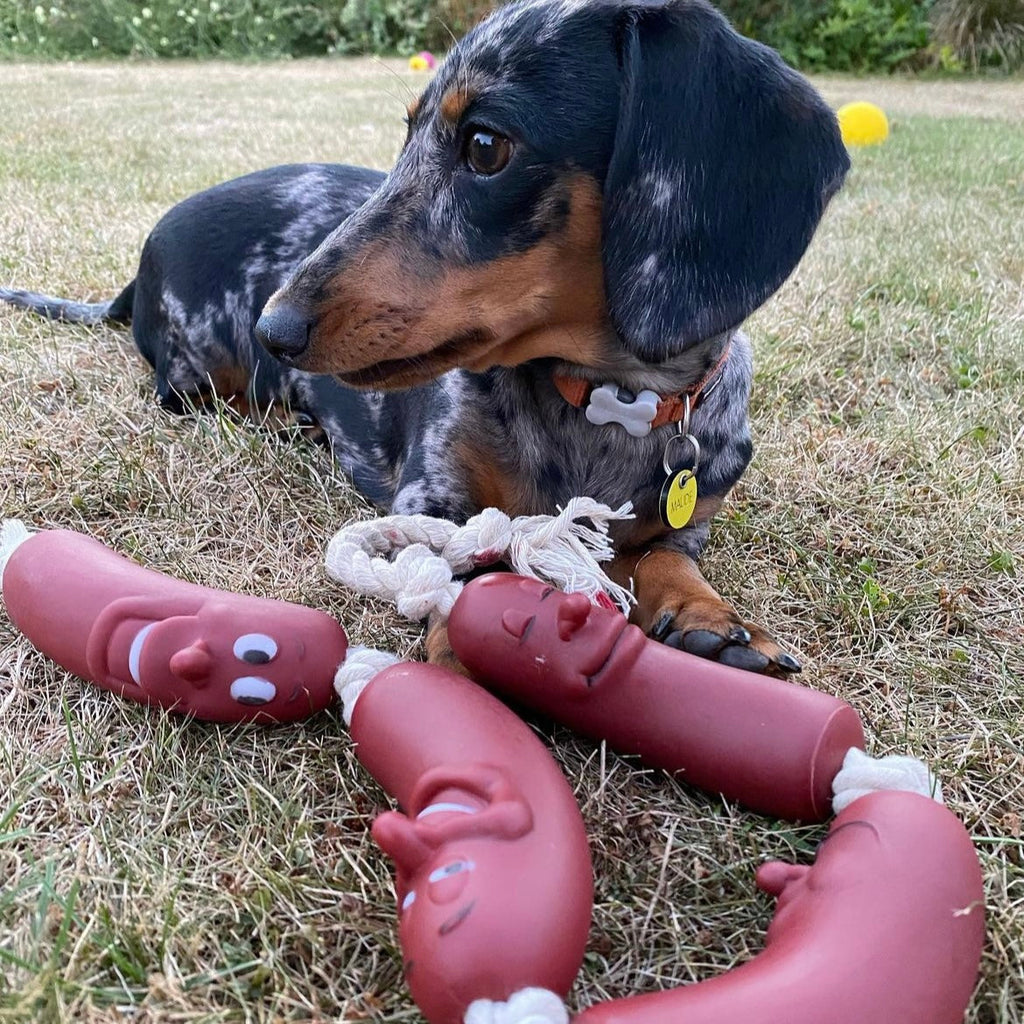 String of Sausages on Rope Dog Toy