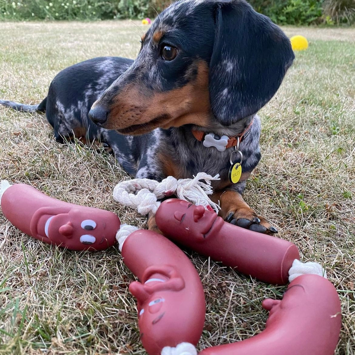 String of Sausages on Rope Dog Toy