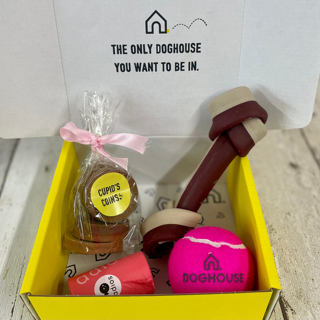 Wedding Gift Box for Dogs
