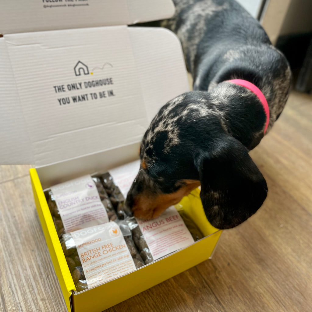 DOGFOOD Superfood Sample Pack