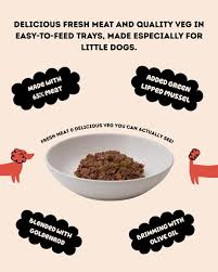 Dinky Dog Wet Food for Dogs