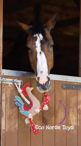 Green & Wilds Rambo Rooster Eco Dog & Horse Toy