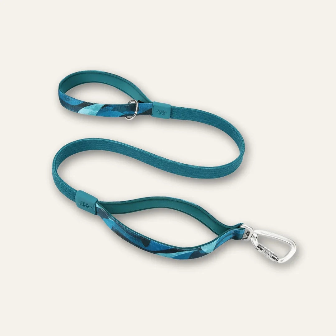 Twiggy Tags Bungee Lead for Dogs