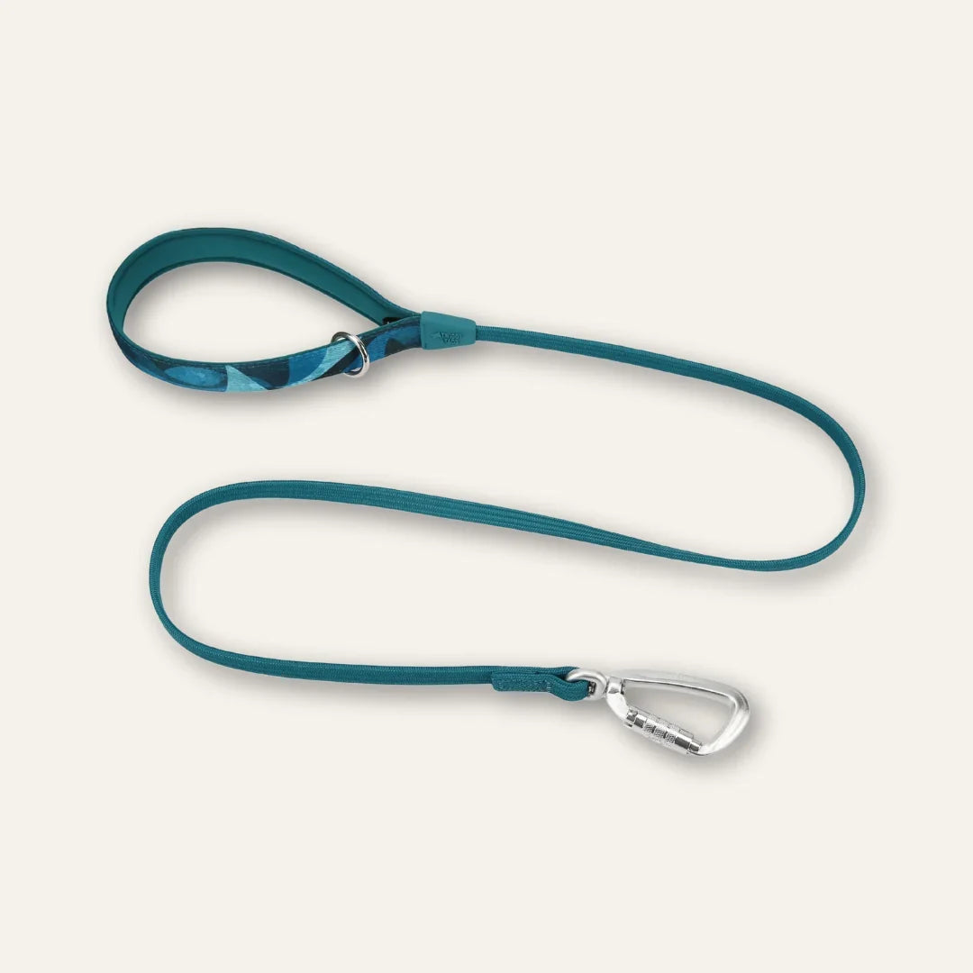 Twiggy Tags Bungee Lead for Dogs