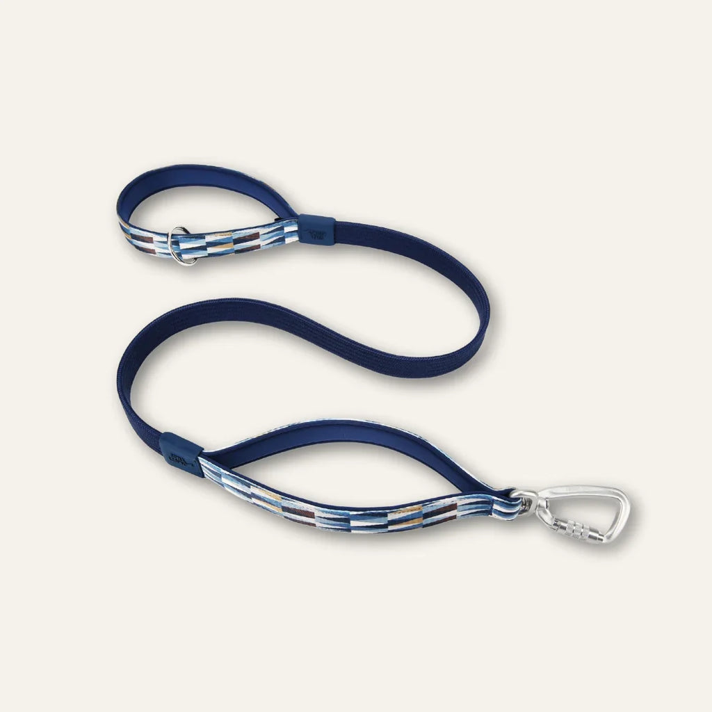 Twiggy Tags Bungee Lead for Dogs