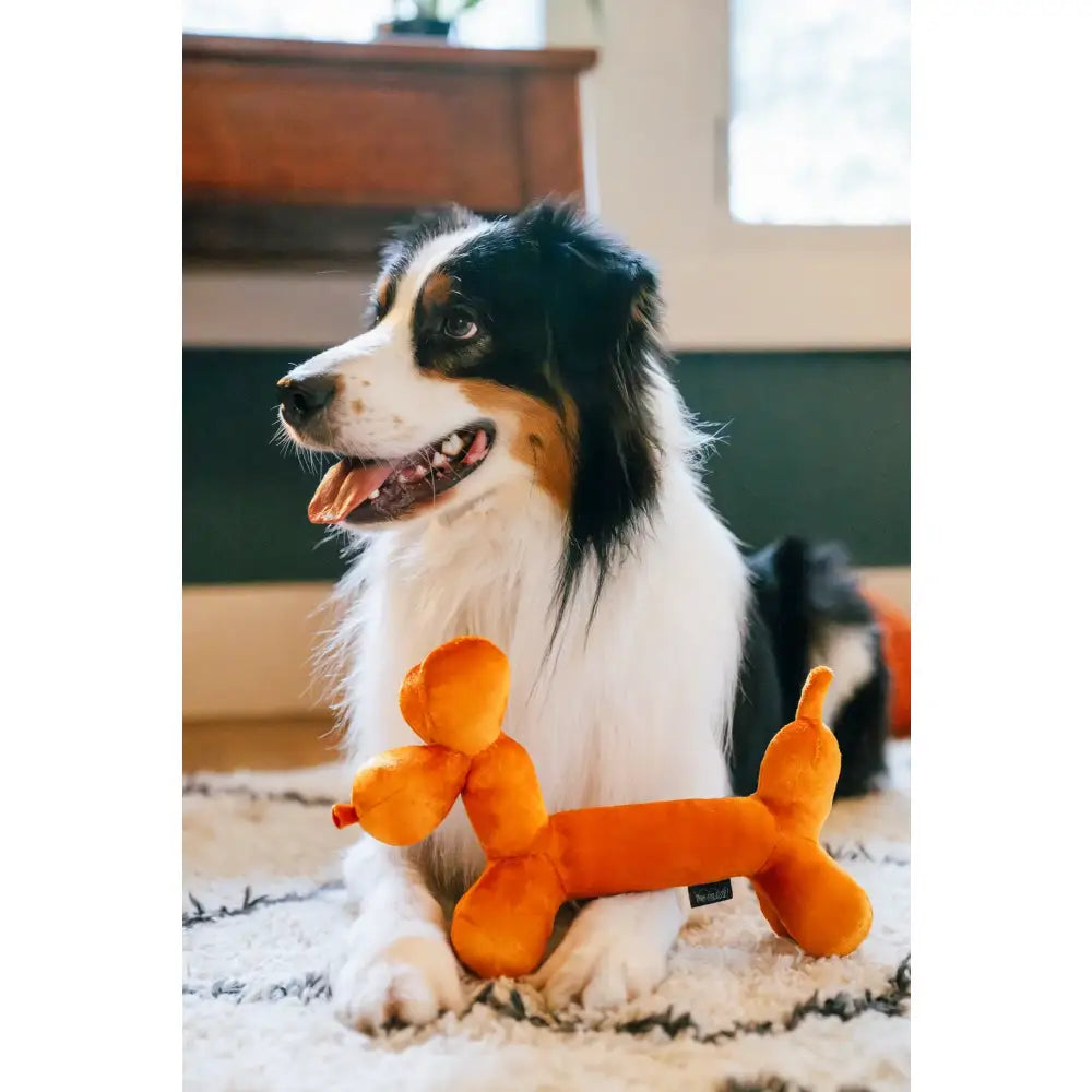 P.L.A.Y Balloon Sausage Buddy Dog Toy