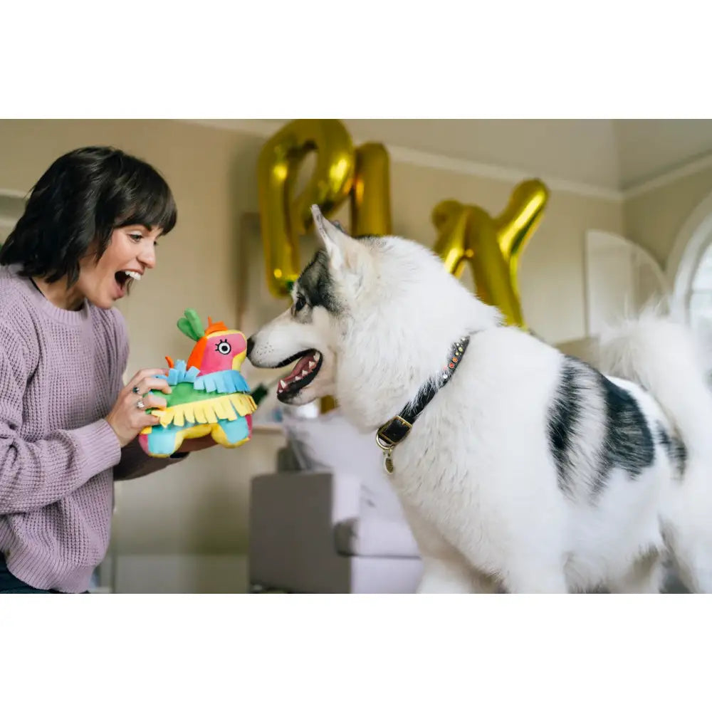 P.L.A.Y Fiesta Fetch Pinata Dog Toy