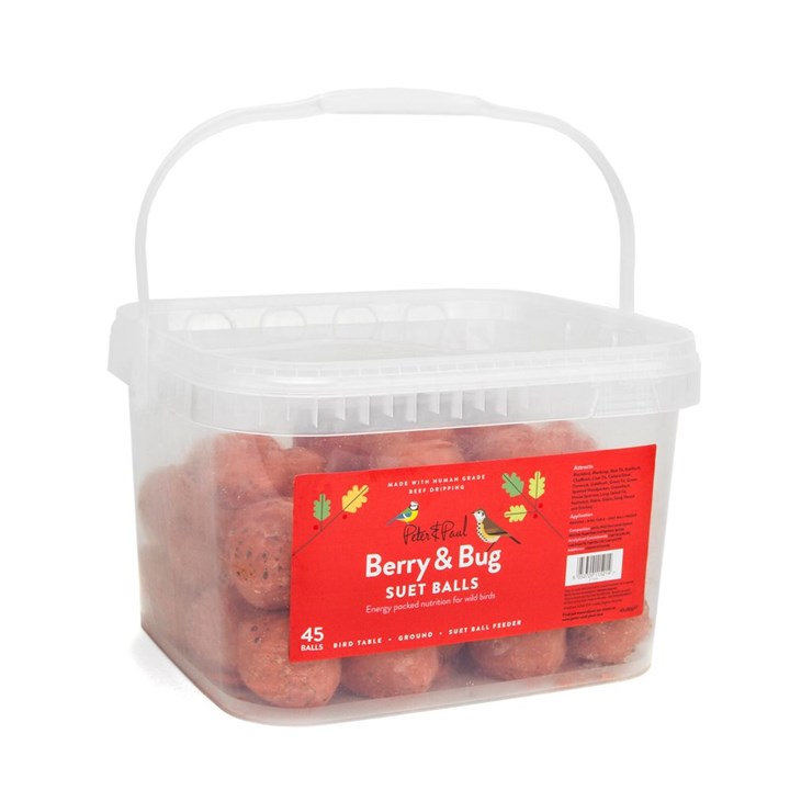 Peter&Paul Berry and Bug Suet Balls for Wild Birds