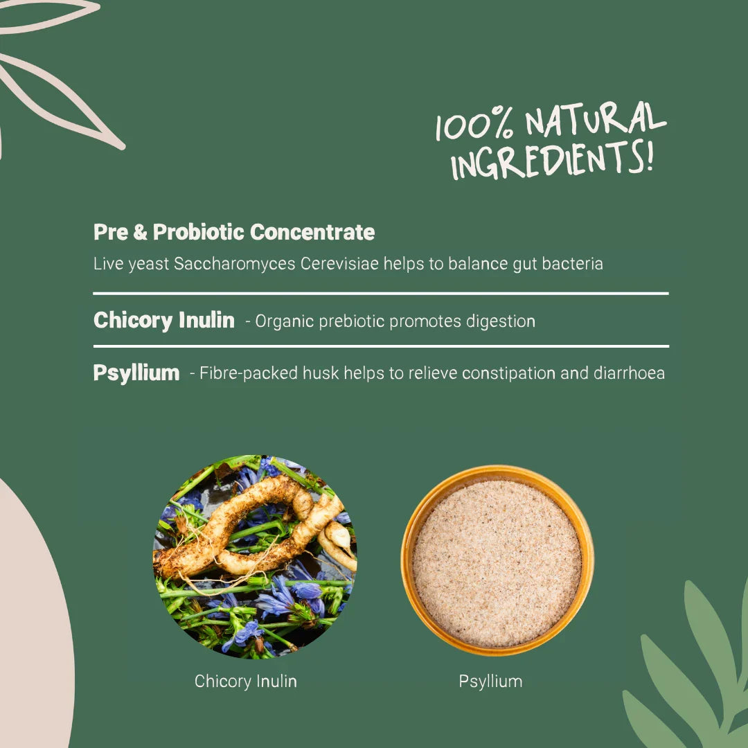 Pets Purest Prebiotic and Probiotic Digestive Powder