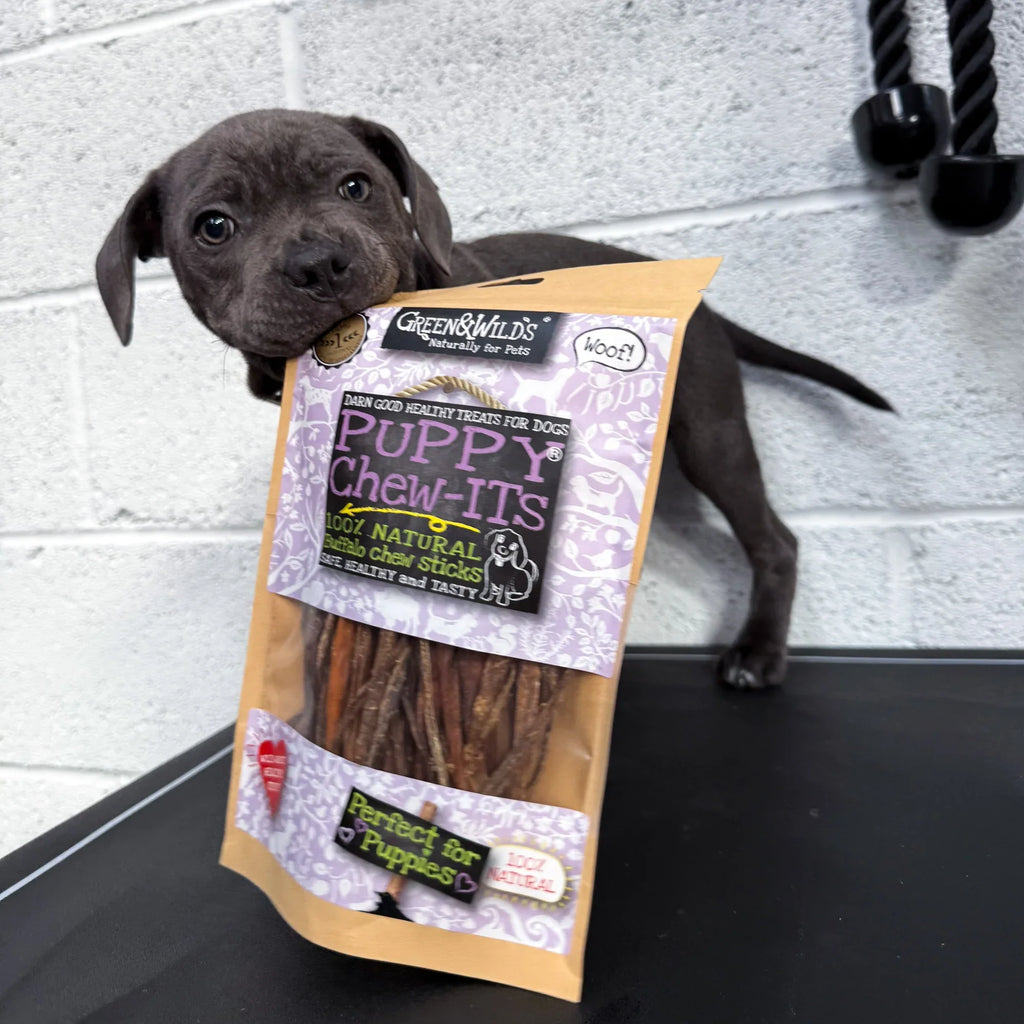 Green & Wilds Puppy Chew-Its Buffalo Sticks