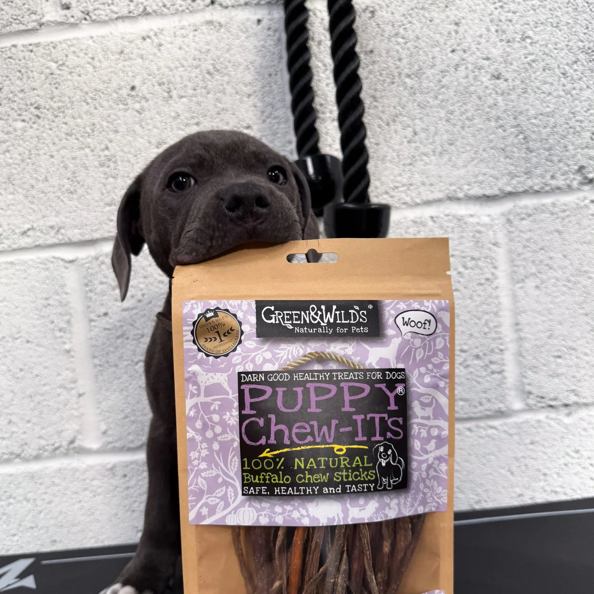 Green & Wilds Puppy Chew-Its Buffalo Sticks