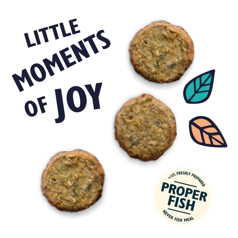 Lily's Kitchen Salmon Fishcake Dog Treats