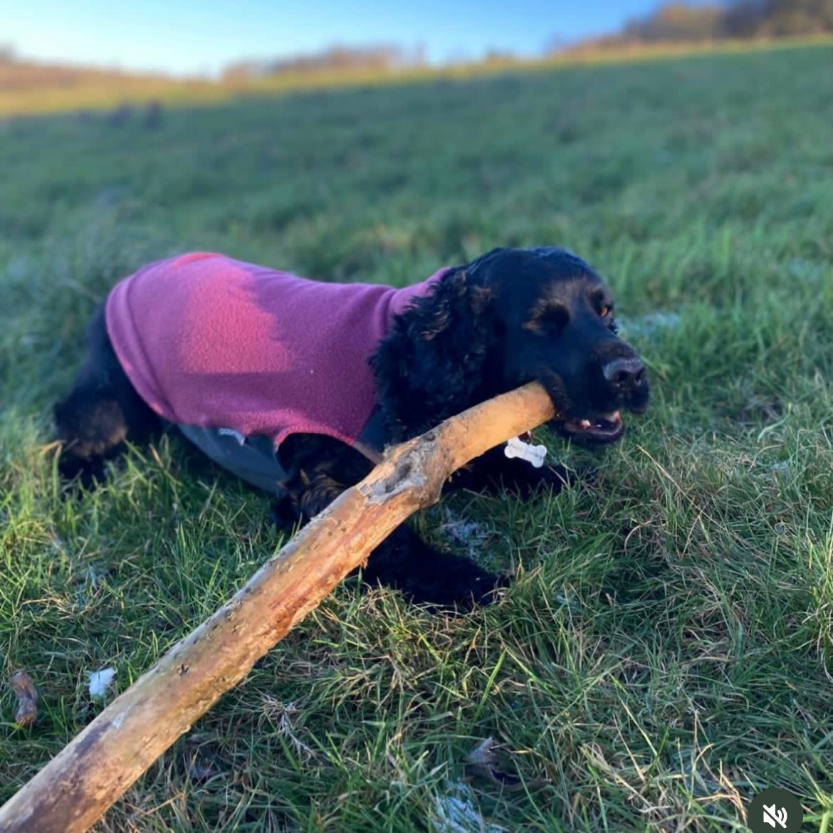 Dog Fleece Jumper with Waterproof Belly Panel
