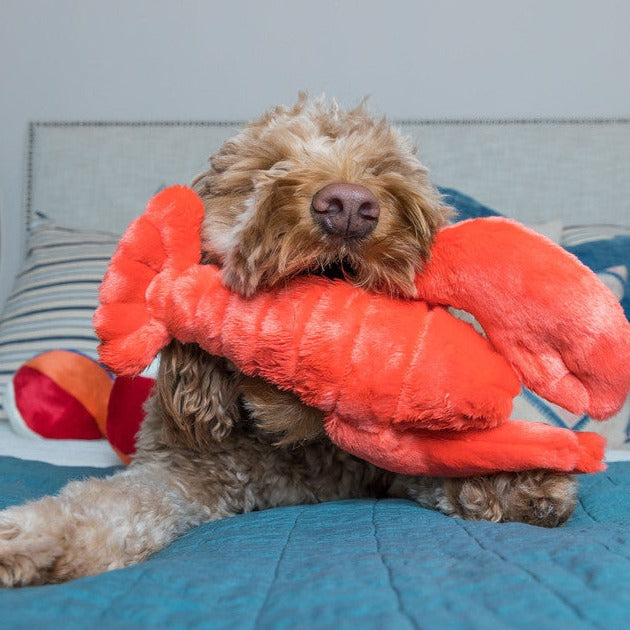 Fluff & Tuff Manny Lobster