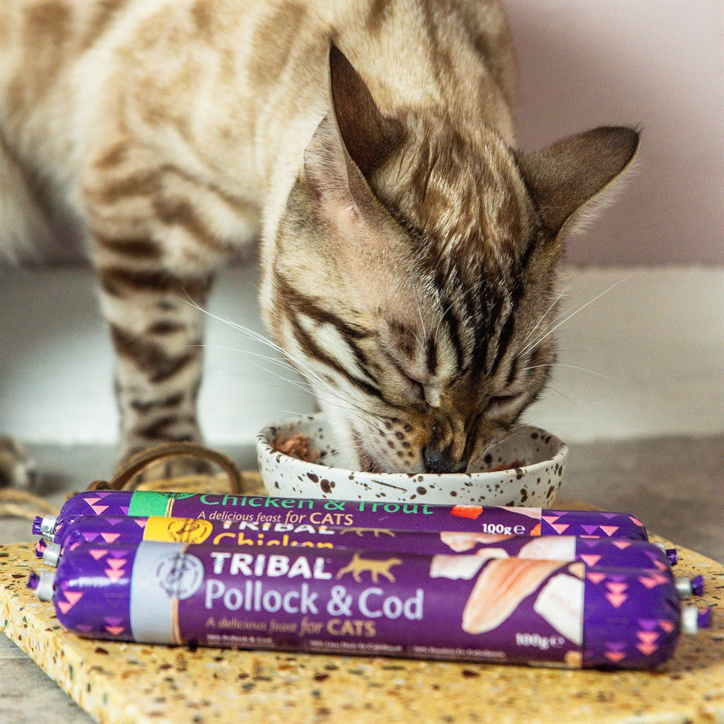 Tribal Gourmet Pollock and Cod Sausage for Cats